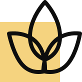 Fully furnished rooms